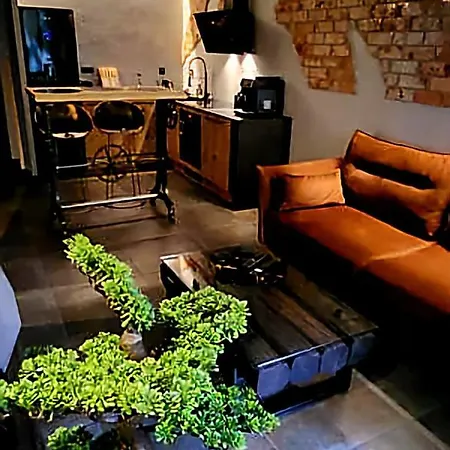 Luxury Design Loft Apartment, , Swimming Pool, Gym , Private Parking Краков